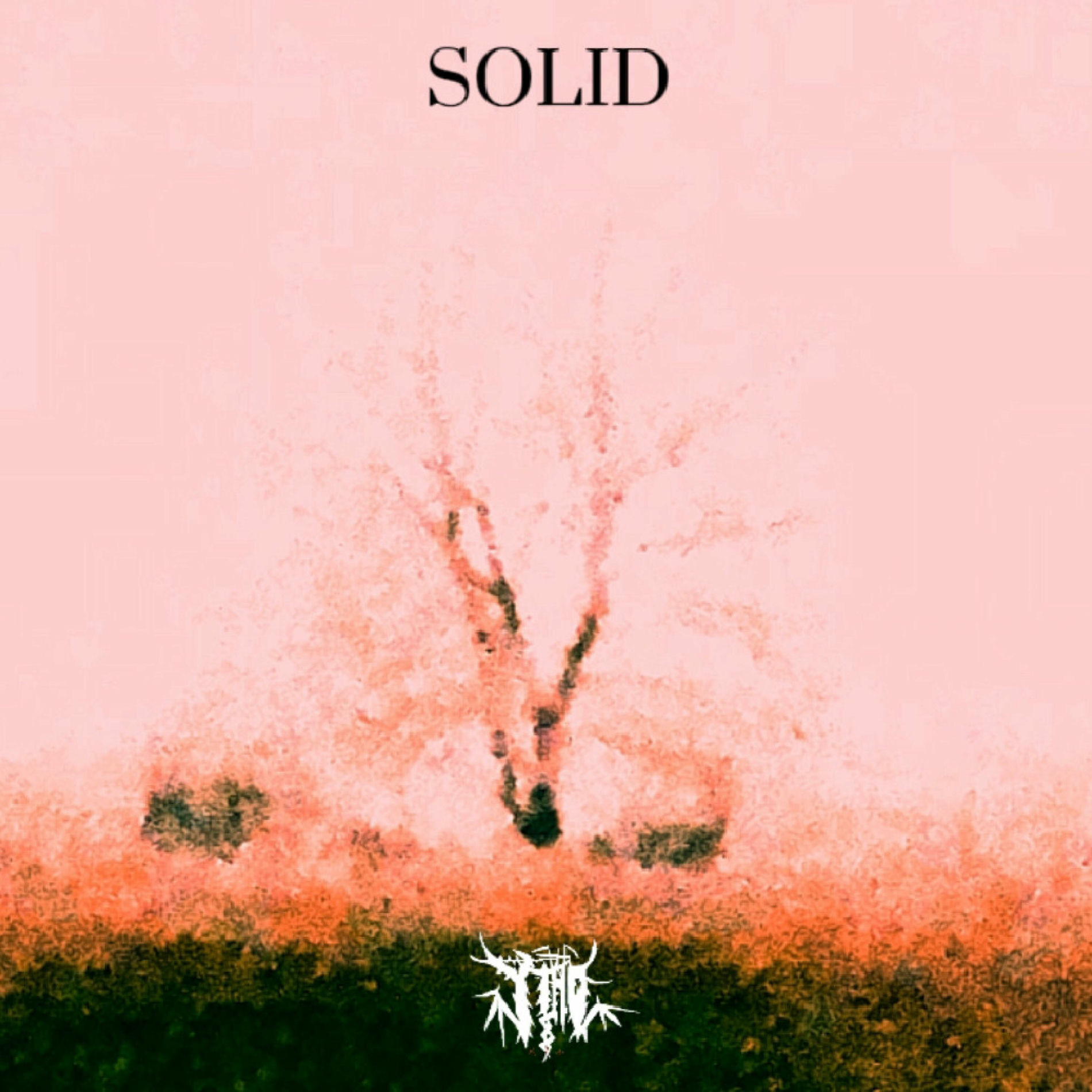 Album cover of SOLID