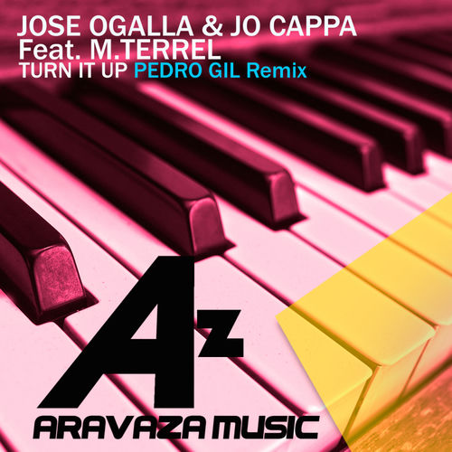 Turn It Up (feat. M Terrel) [Pedro Gil Remix]