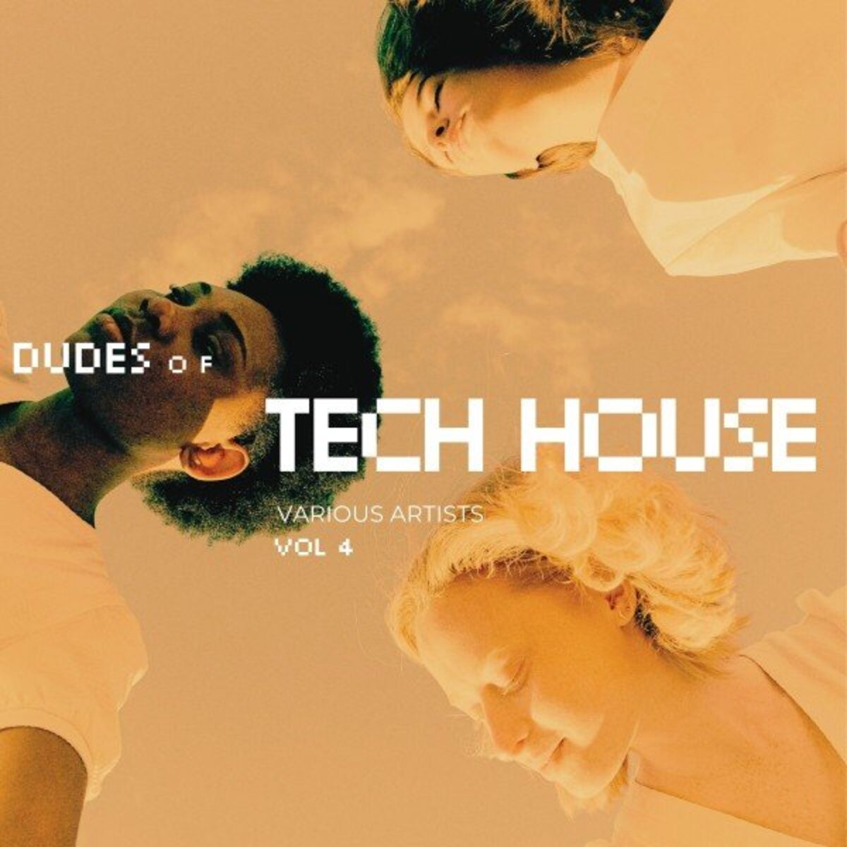 Album cover of Dudes of Tech House, Vol. 4