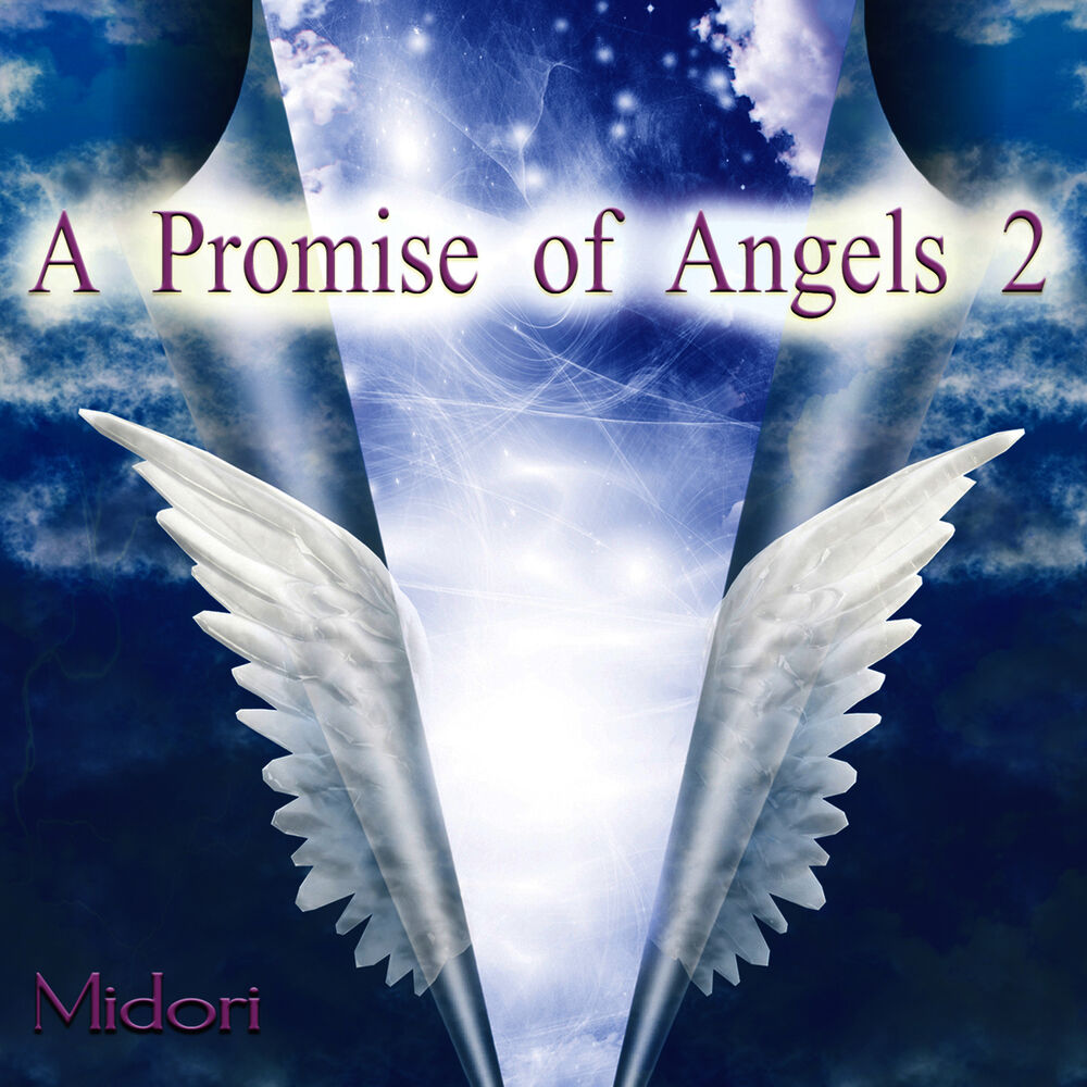 Picture of A Promise of Angels 2