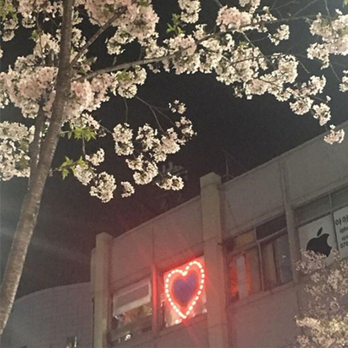 Album cover of luv <3