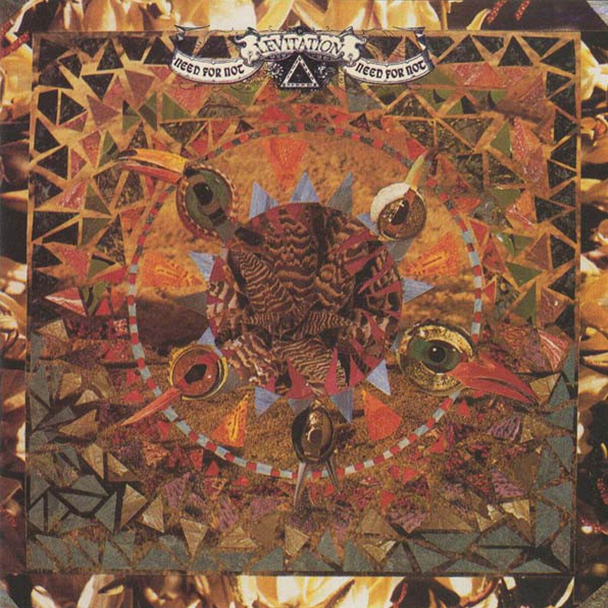 Album cover of Need For Not