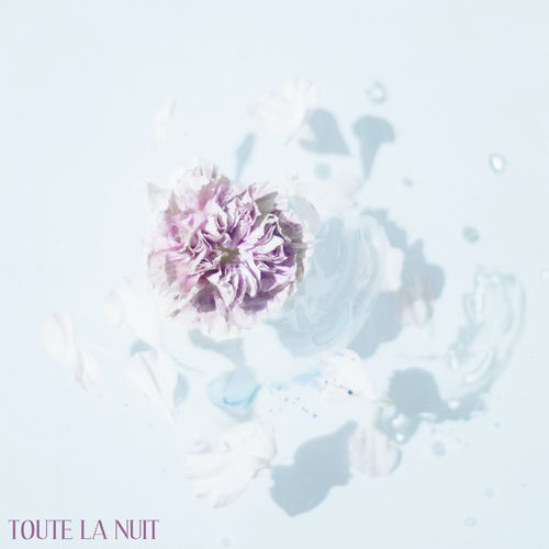 Toute La Nuit