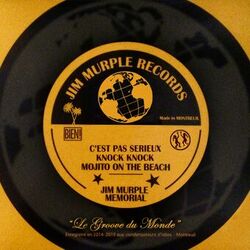Cover of Le groove du monde