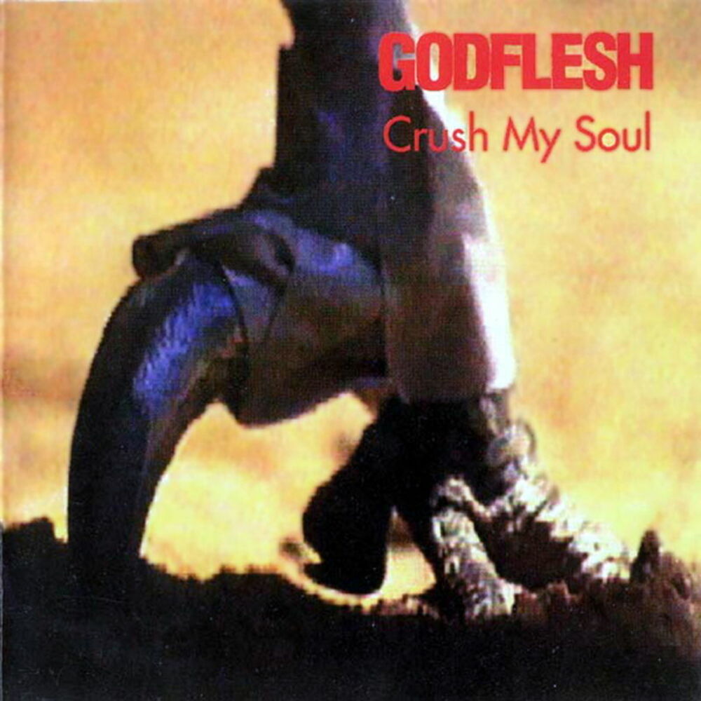 Picture of Crush My Soul