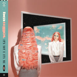 Cover of it's not u it's me