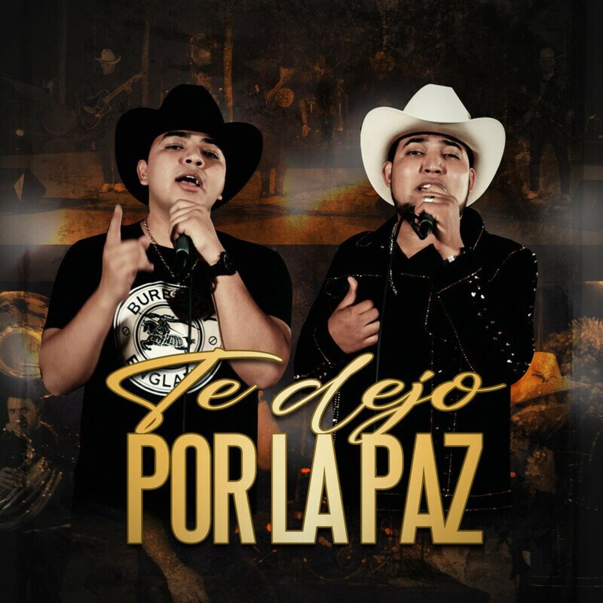 Album cover of Te dejo por la paz