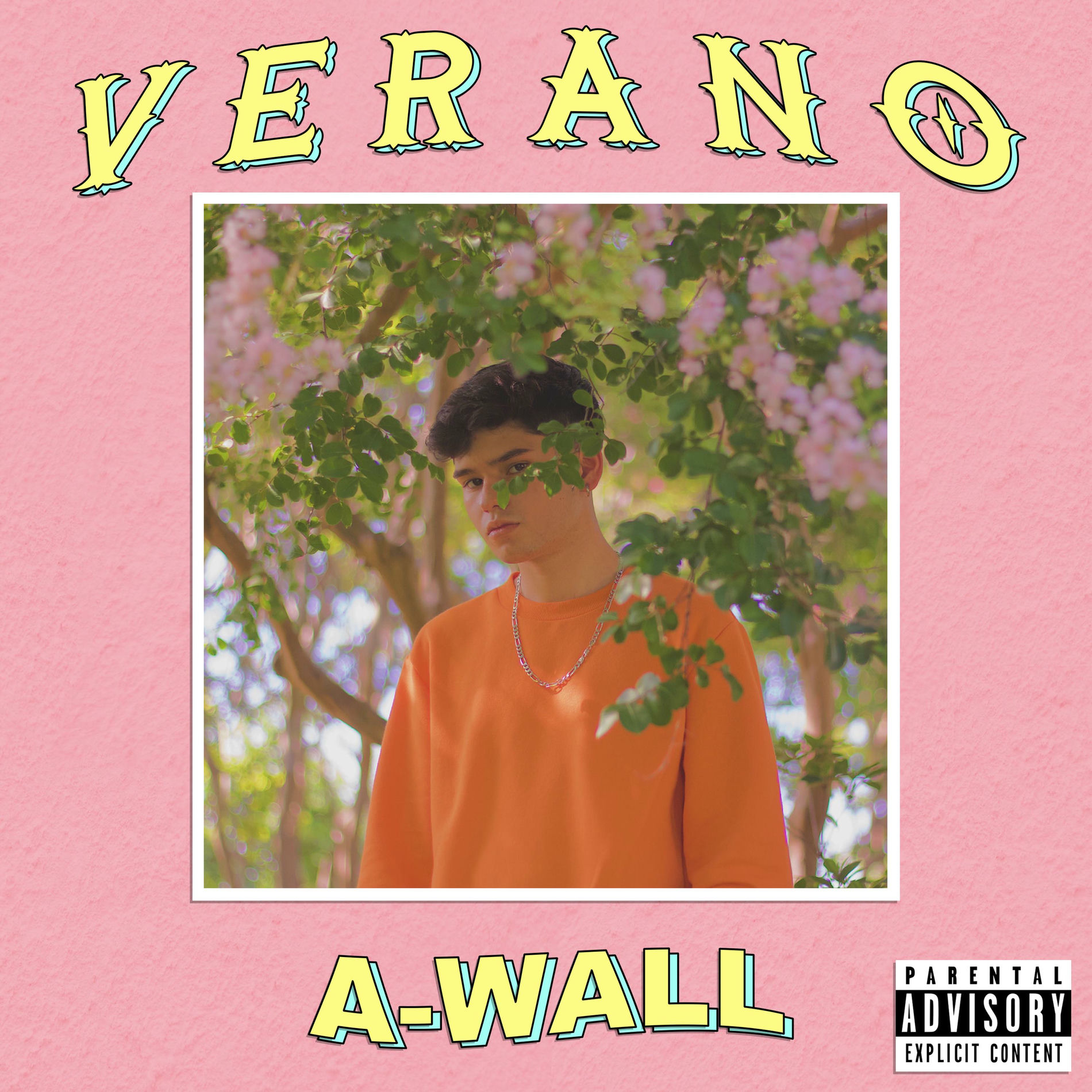Album cover of Mr. Verano