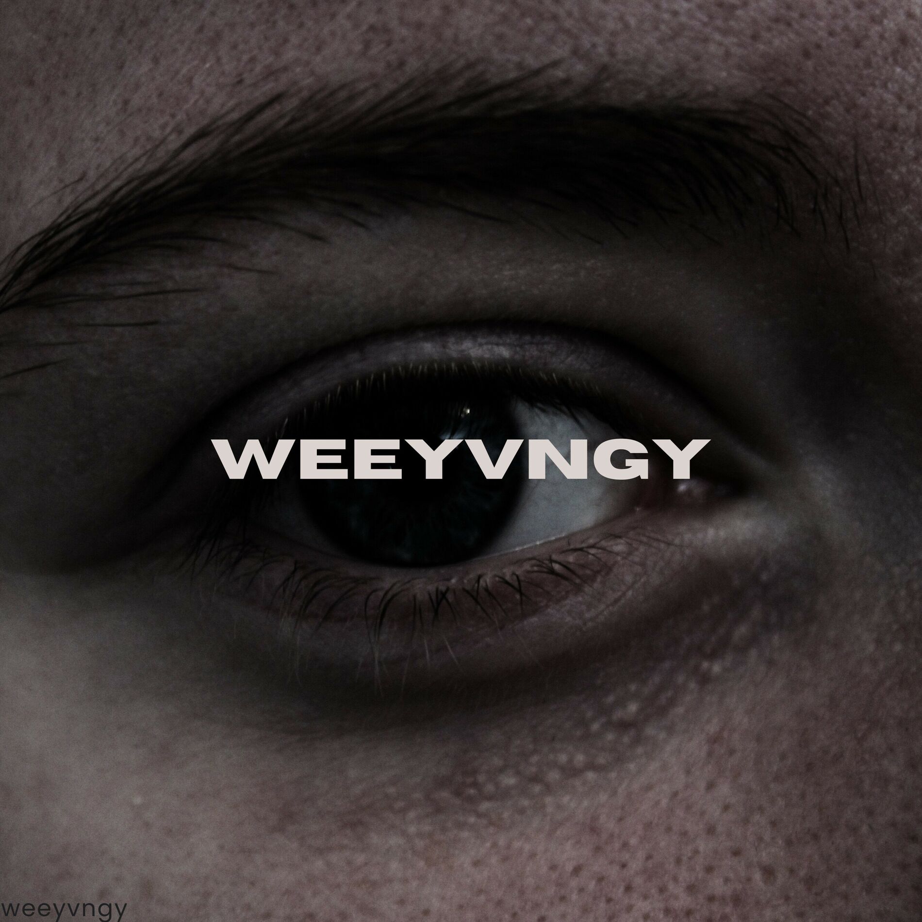 Album cover of weeyvngy