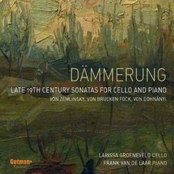 Cover of Dämmerung
