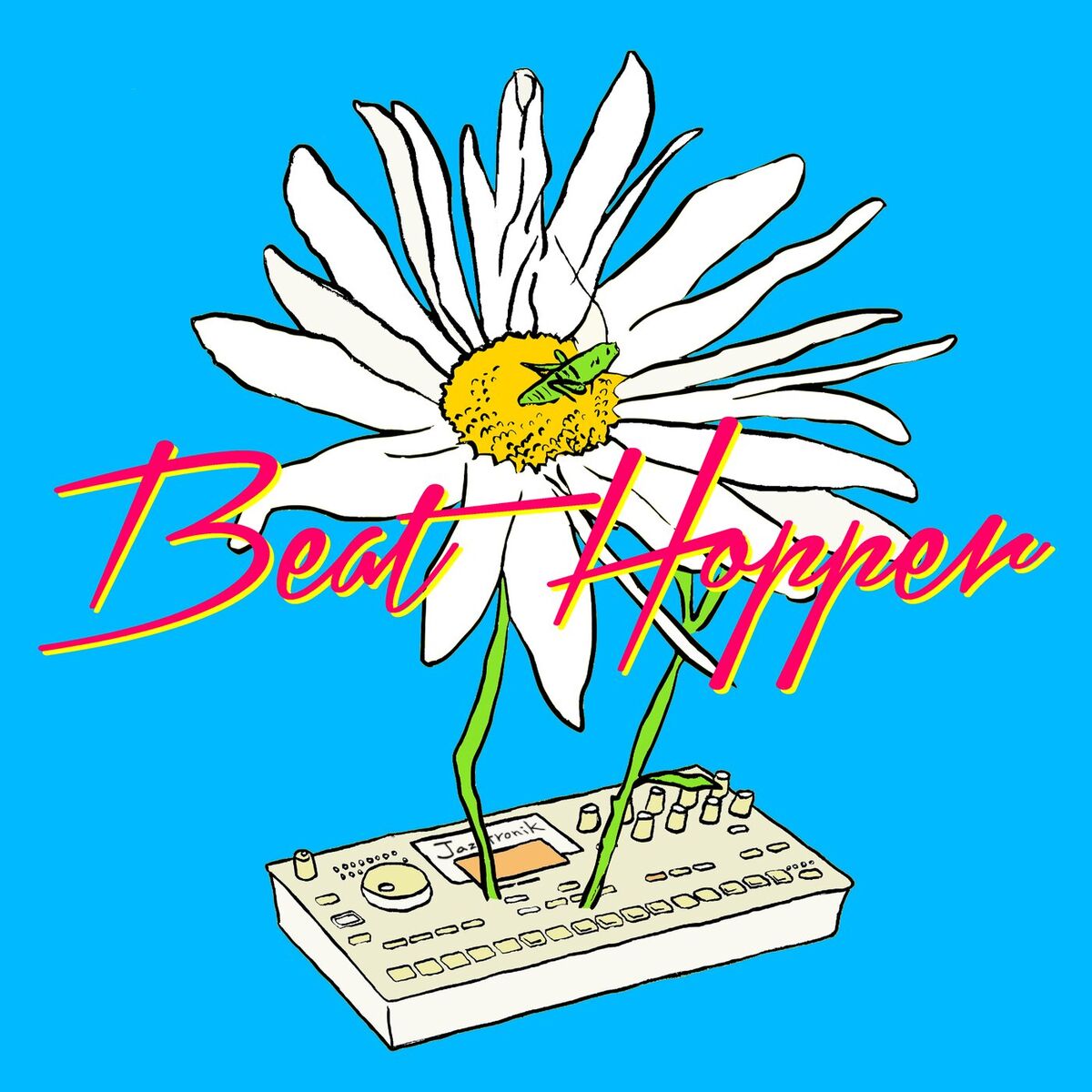 Album cover of Beat Hopper