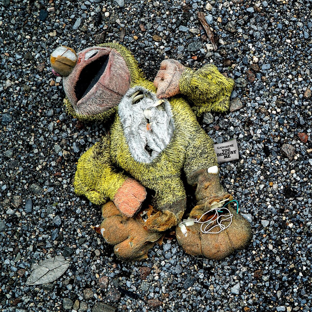 Album cover of You Disgust Me