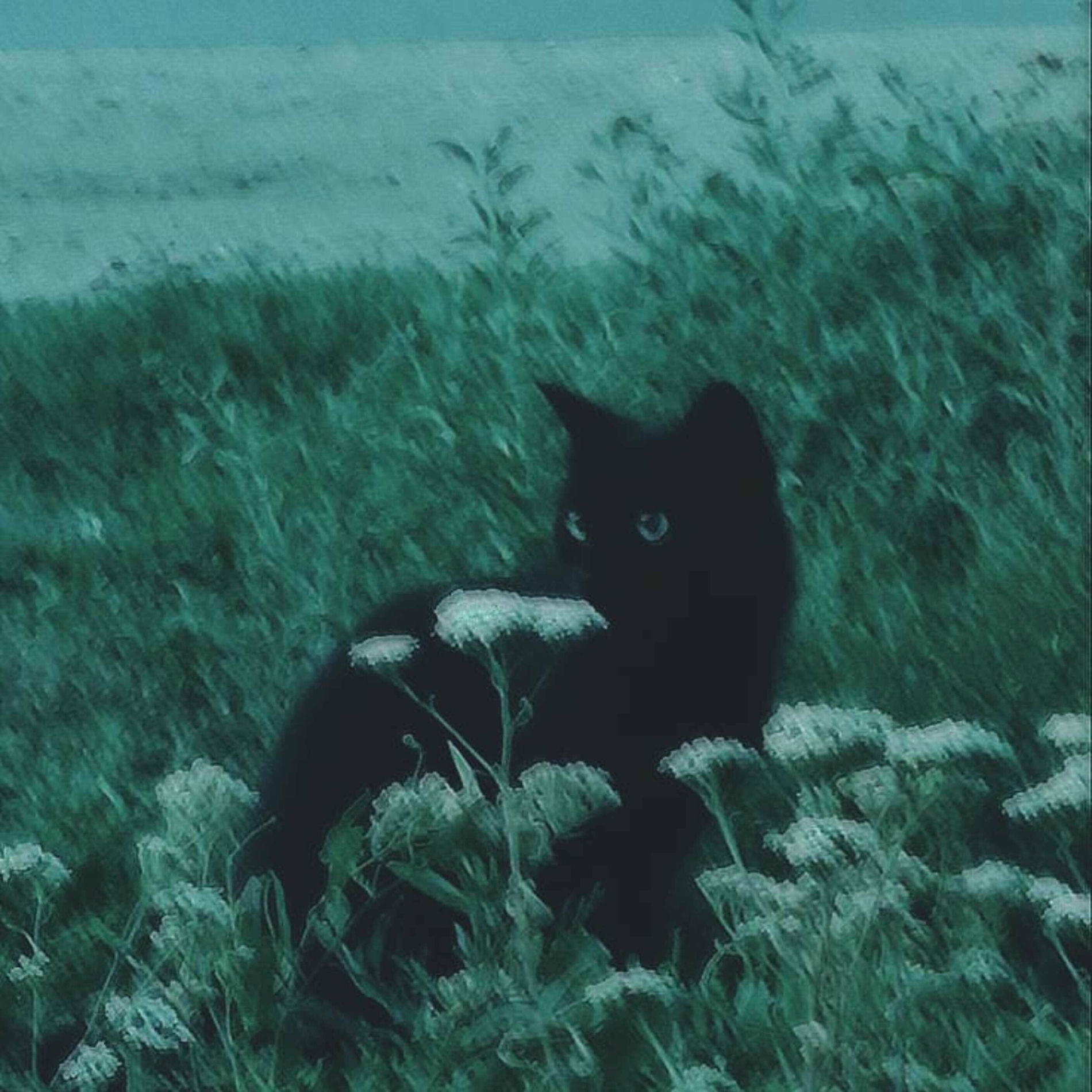 Album cover of Days of Feelings