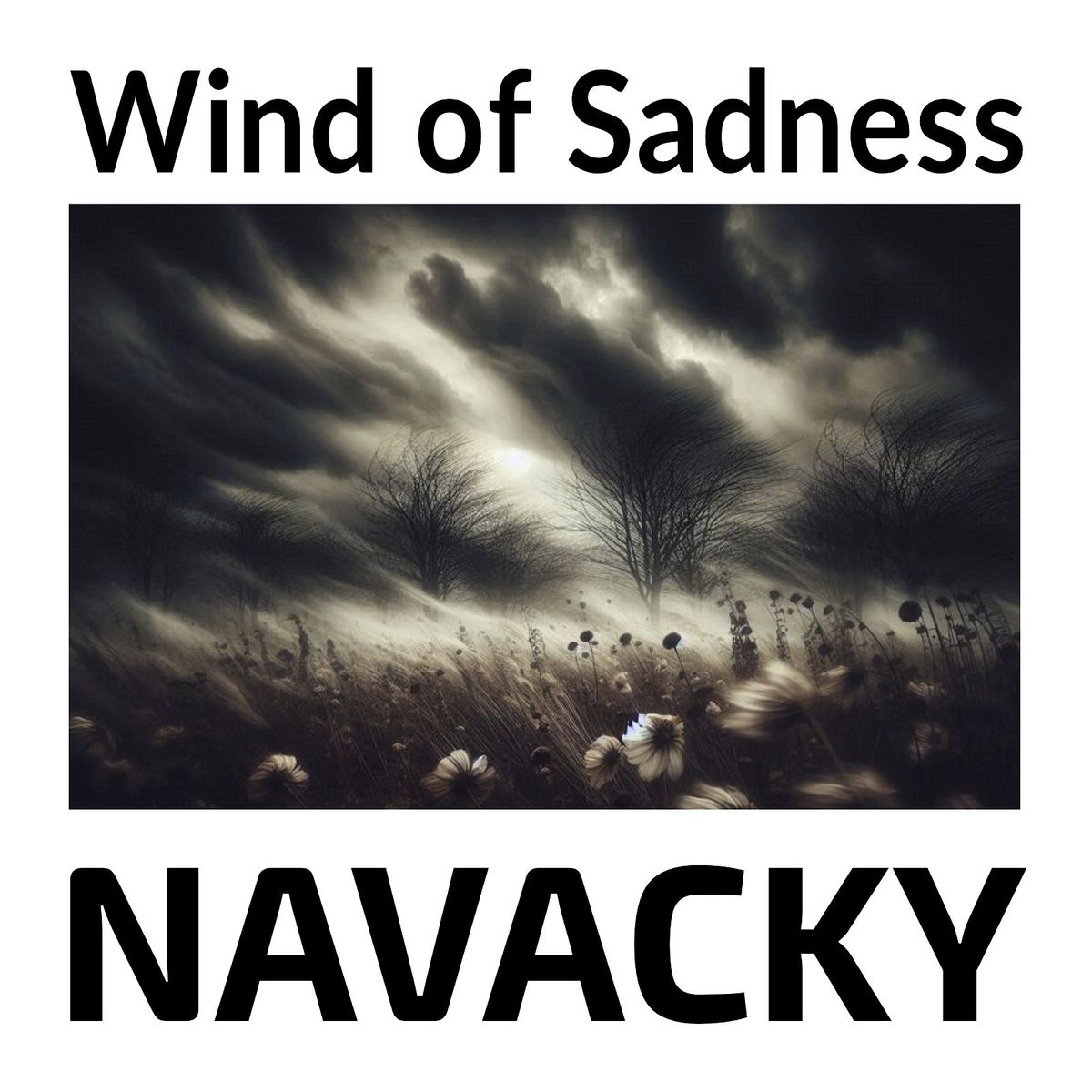 Album cover of Wind of Sadness