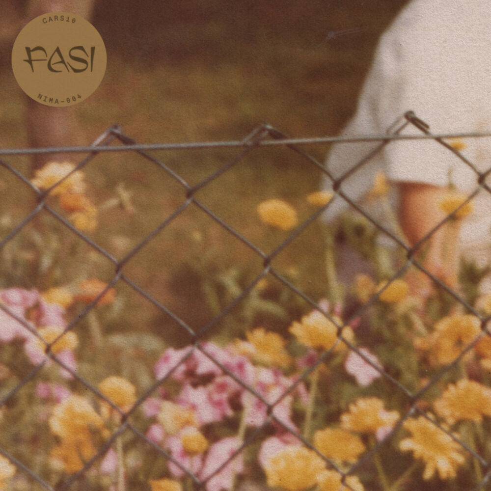 Picture of Fasi
