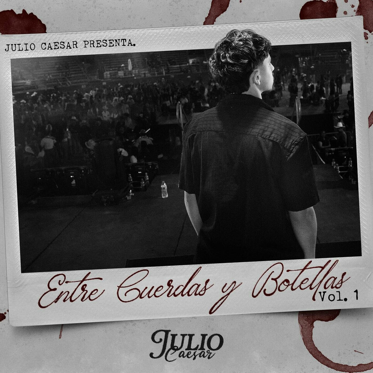 Album picture of Entre Cuerdas y Botellas, Vol. 1