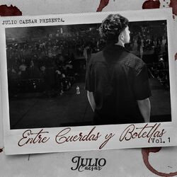Cover of Entre Cuerdas y Botellas, Vol. 1
