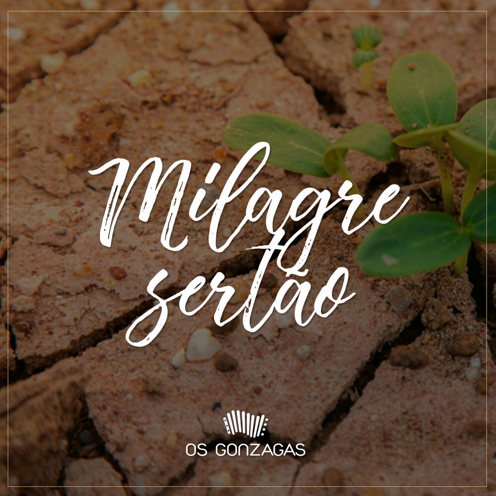 Picture of Milagre Sertão