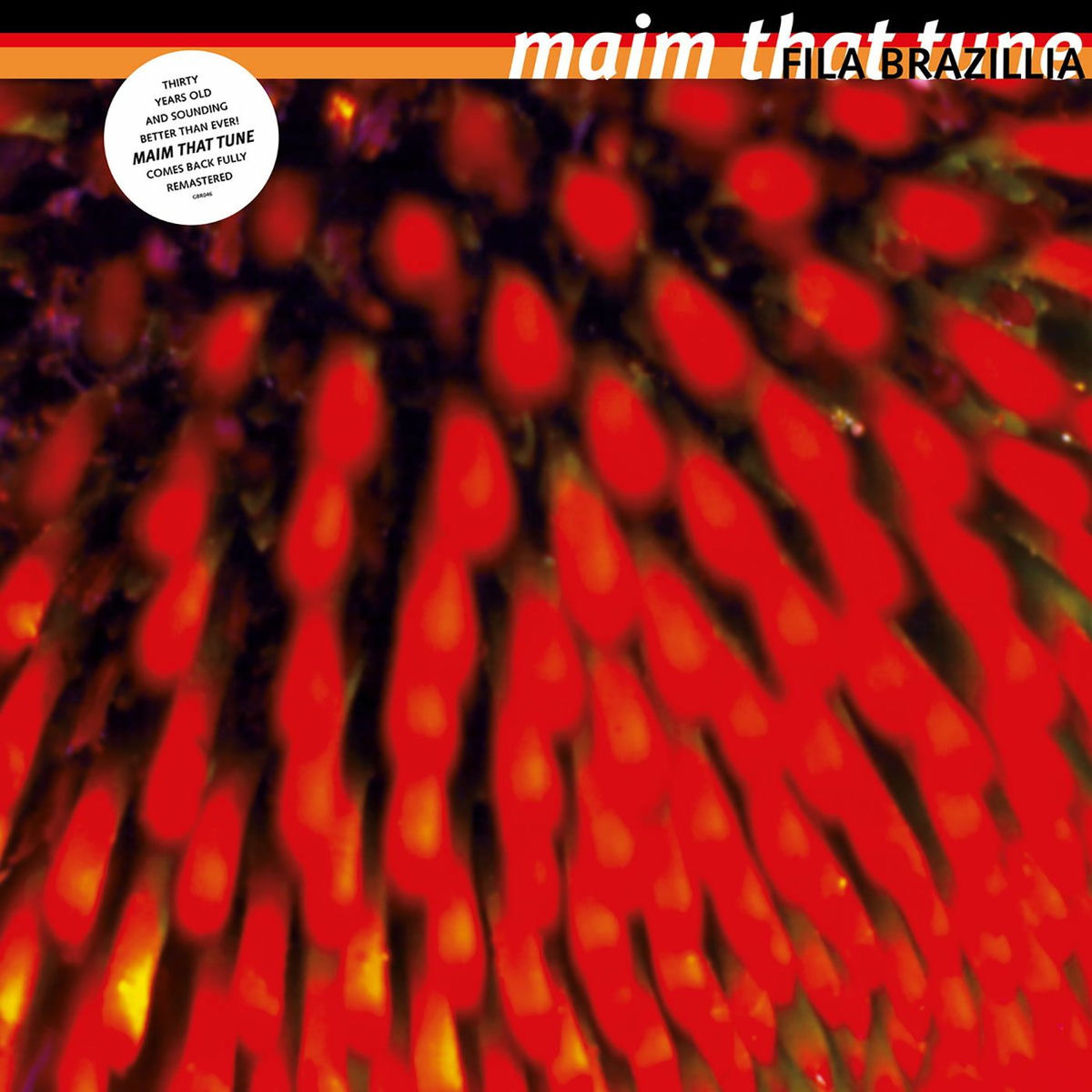 Album cover of Maim That Tune (30th Anniversary Remaster)