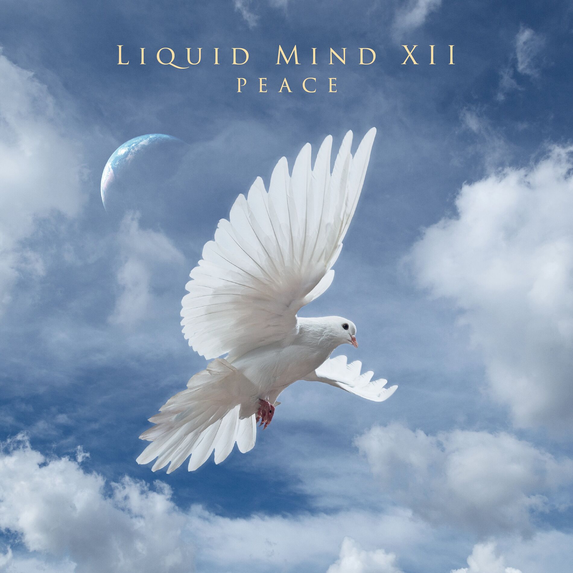 Album cover of Liquid MInd XII: Peace
