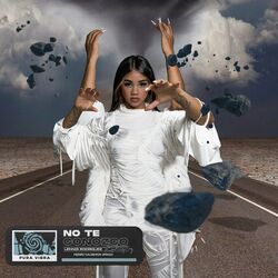 Cover of No Te Conozco