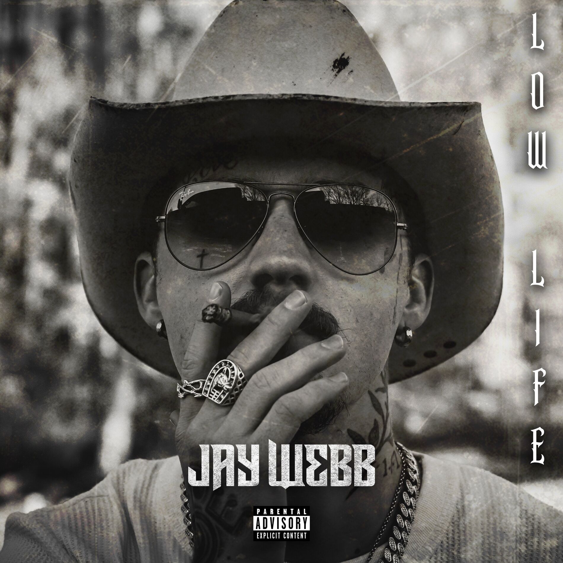 Album cover of Low Life