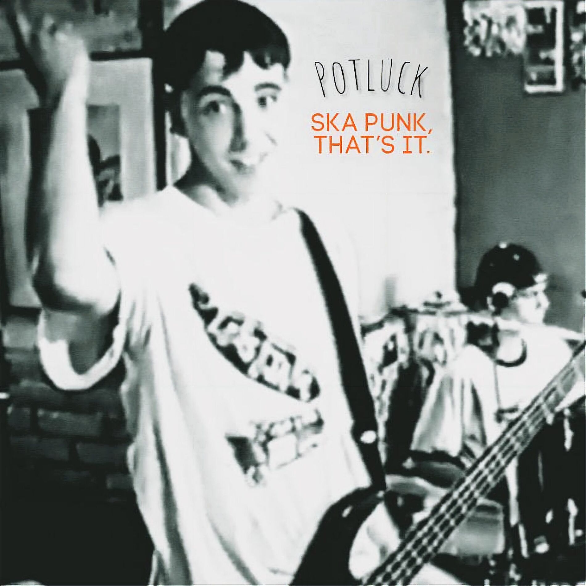 Album cover of Ska Punk. That's It.
