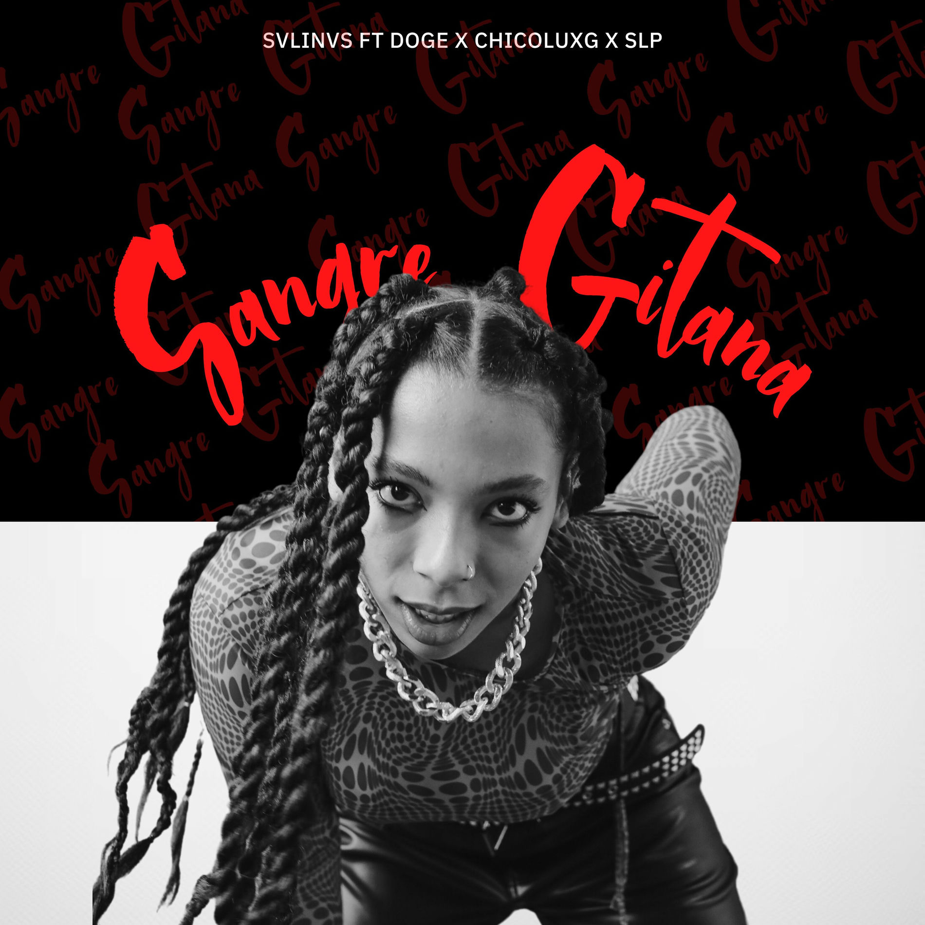 Album cover of Sangre Gitana