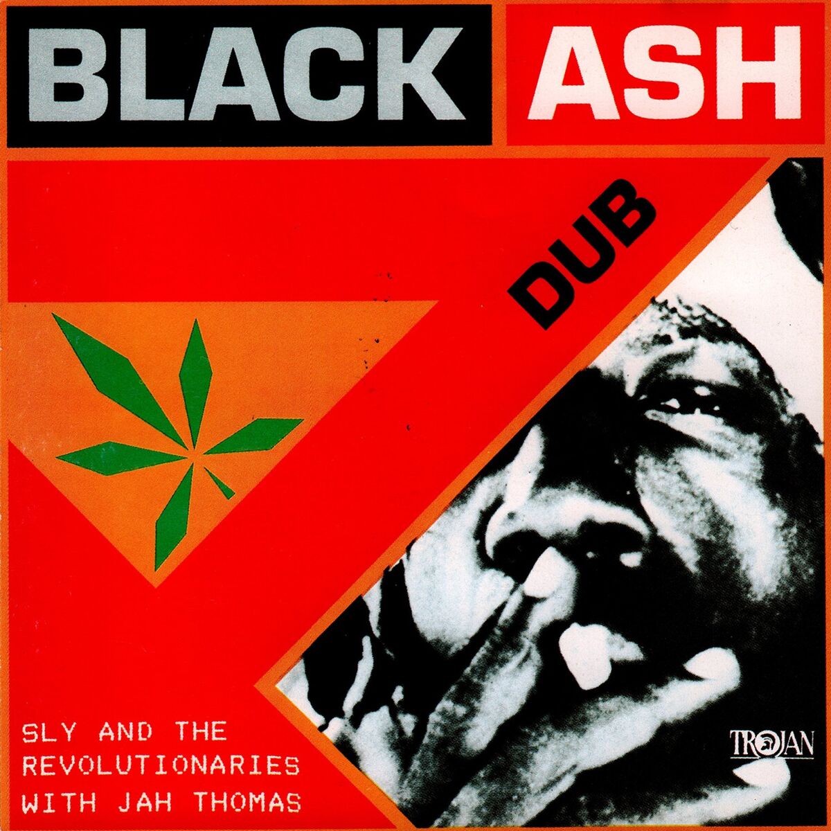 Album cover of Black Ash Dub (with Jah Thomas)