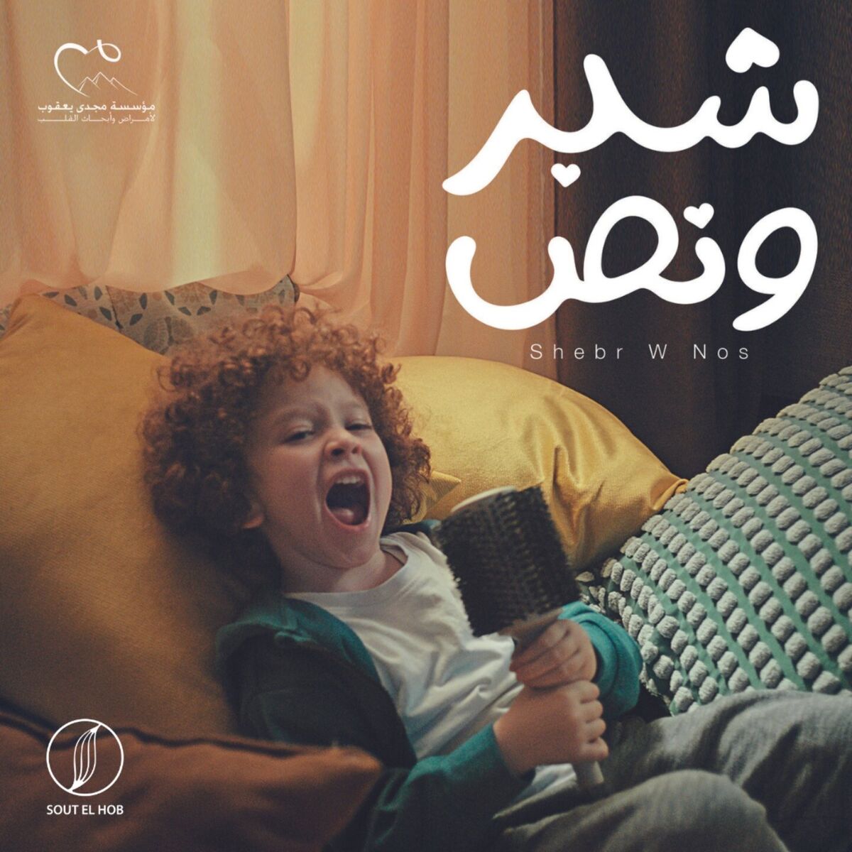 Album cover of Shebr W Nos