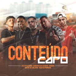 Cover of Conteudo Caro