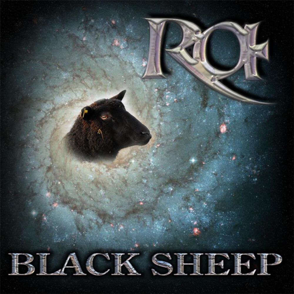 Picture of Black Sheep