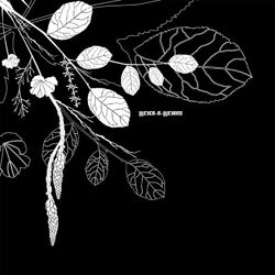 Cover of Bomberos