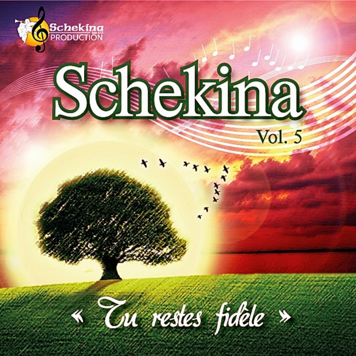 Album cover of Tu restes fidèle, Vol. 5