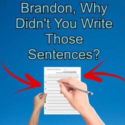 Cover of Brandon, Why Didn't You Write Those Sentences?
