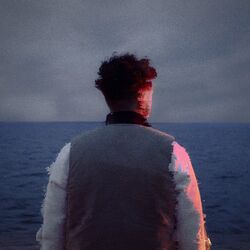 Cover of Vague