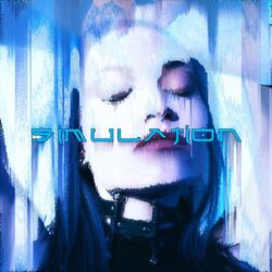 Cover of Simulation