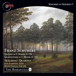 Cover of Schubert in Skálholt, Vol. 1