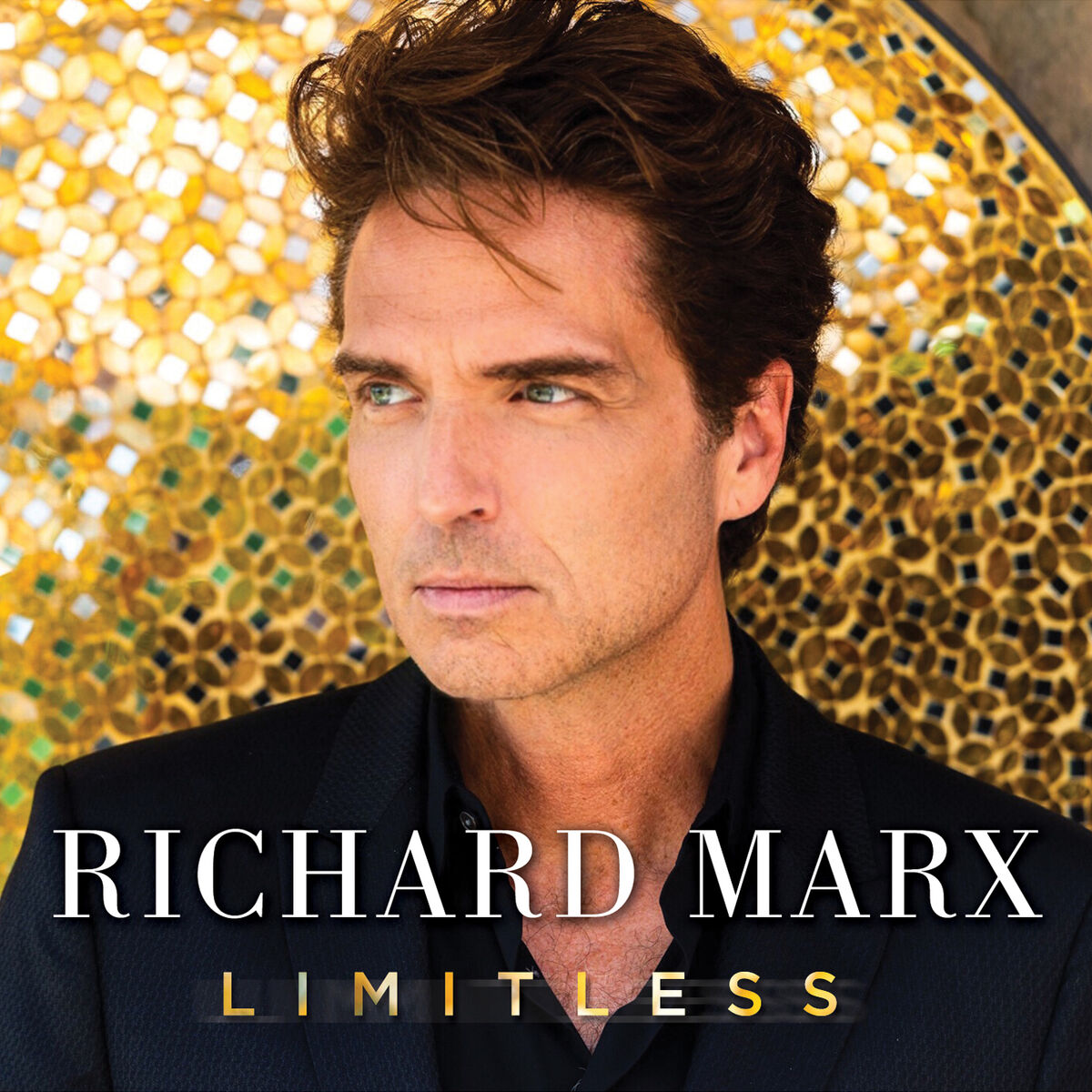 Album cover of Not In Love