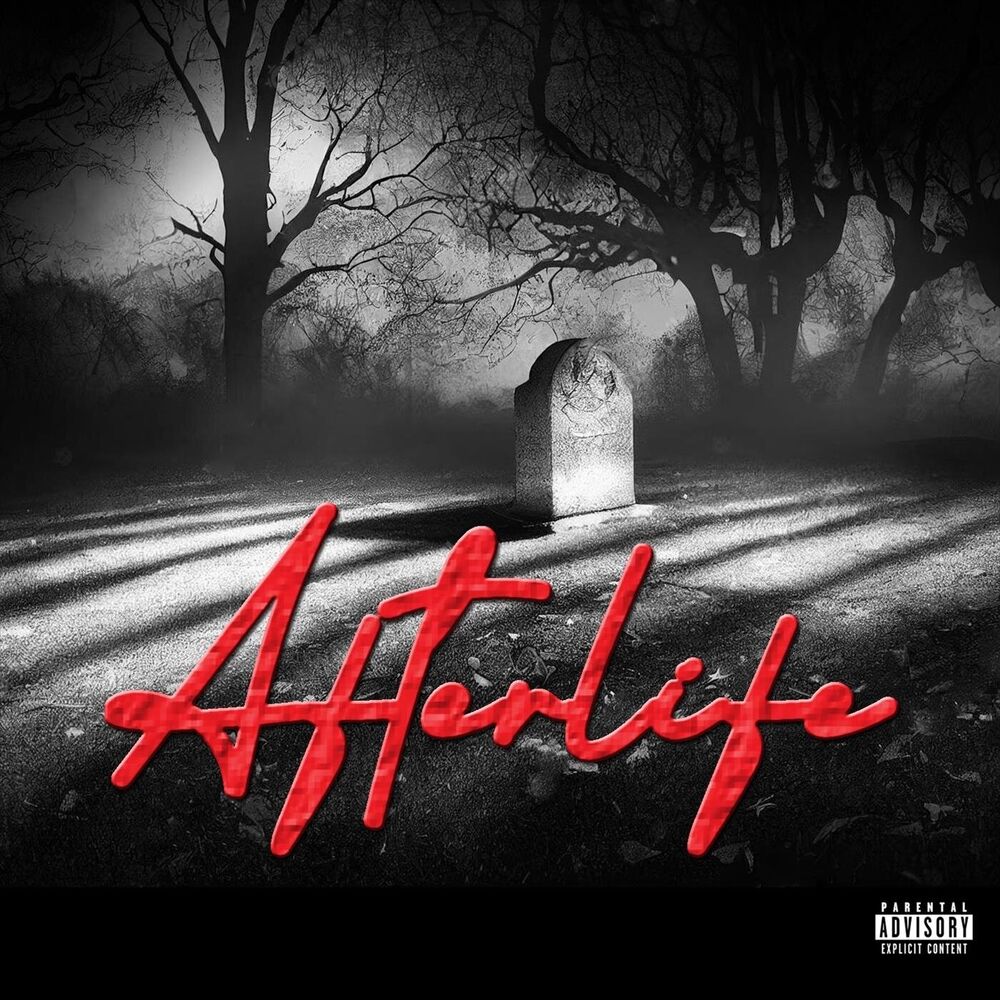 Picture of After Life (Remix)