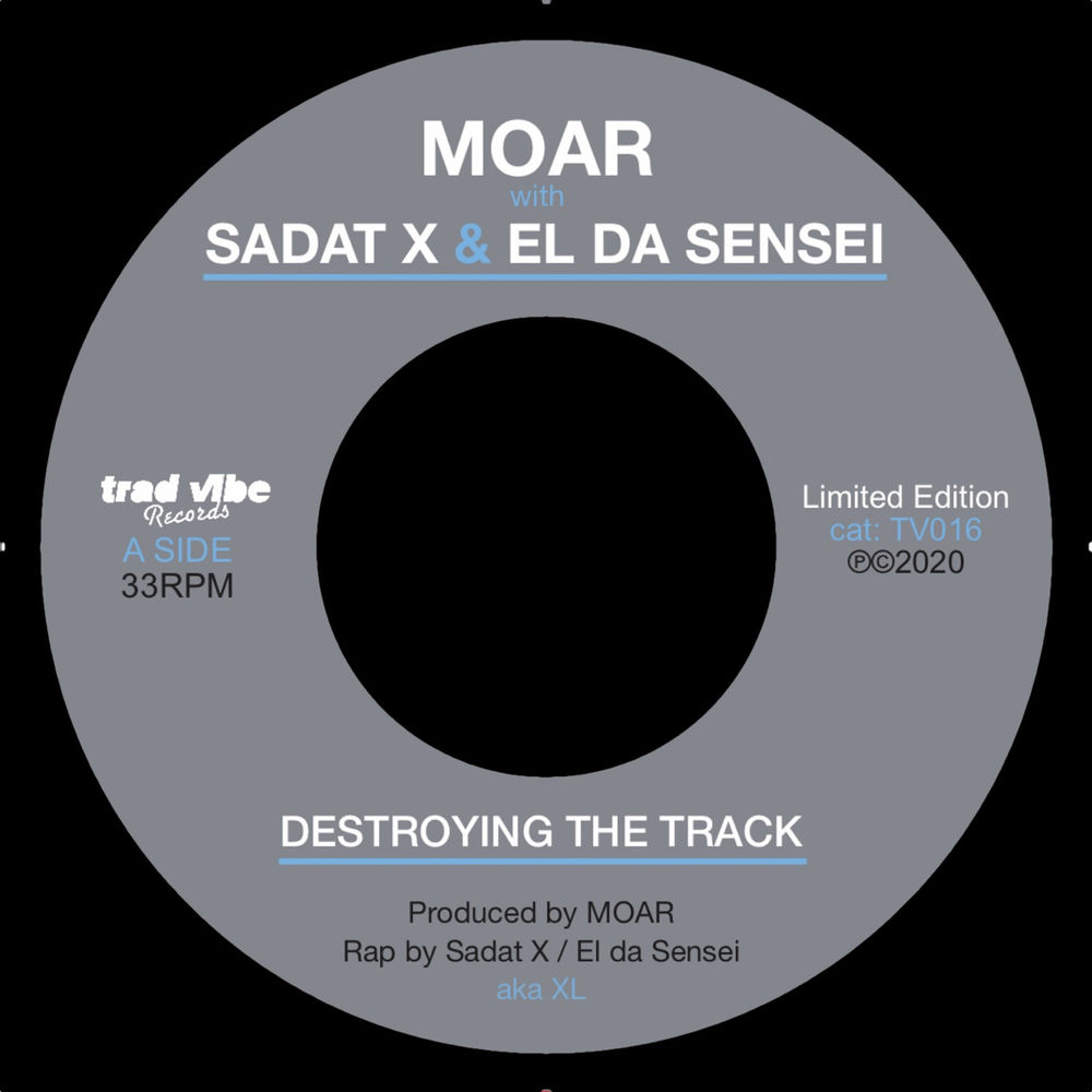 Destroying the Track cover