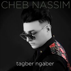 Cover of tagber ngaber