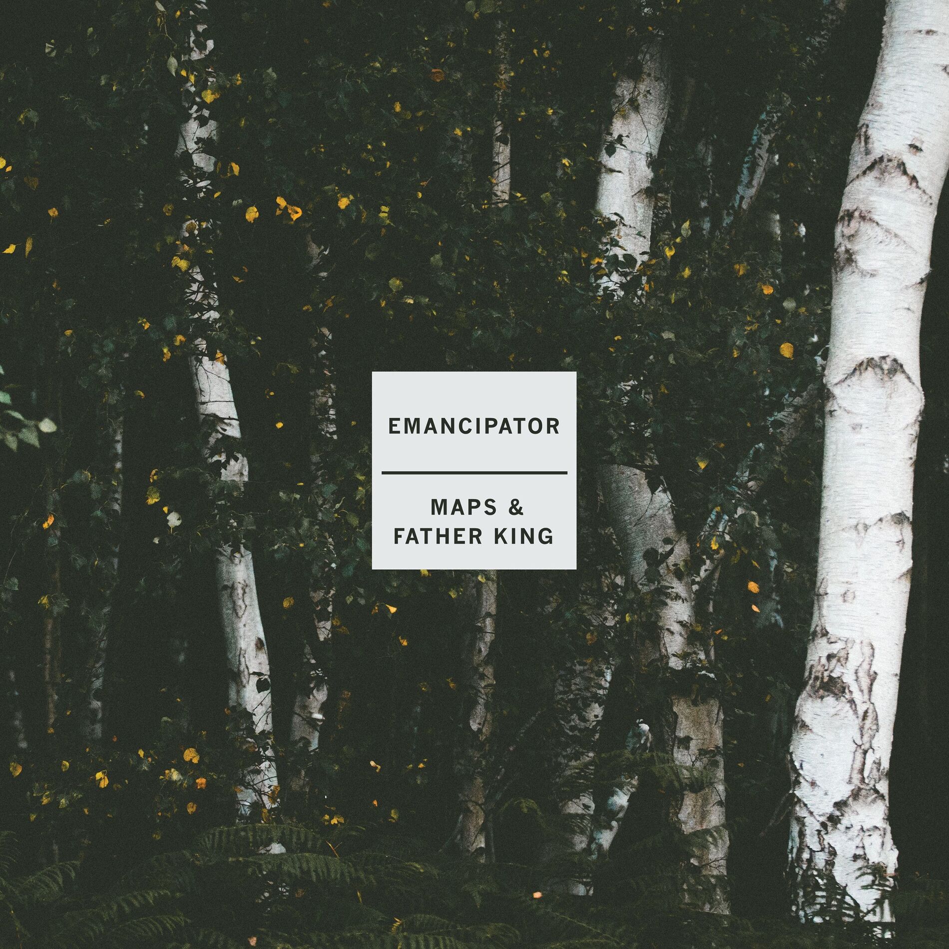 Album cover of Maps & Father King