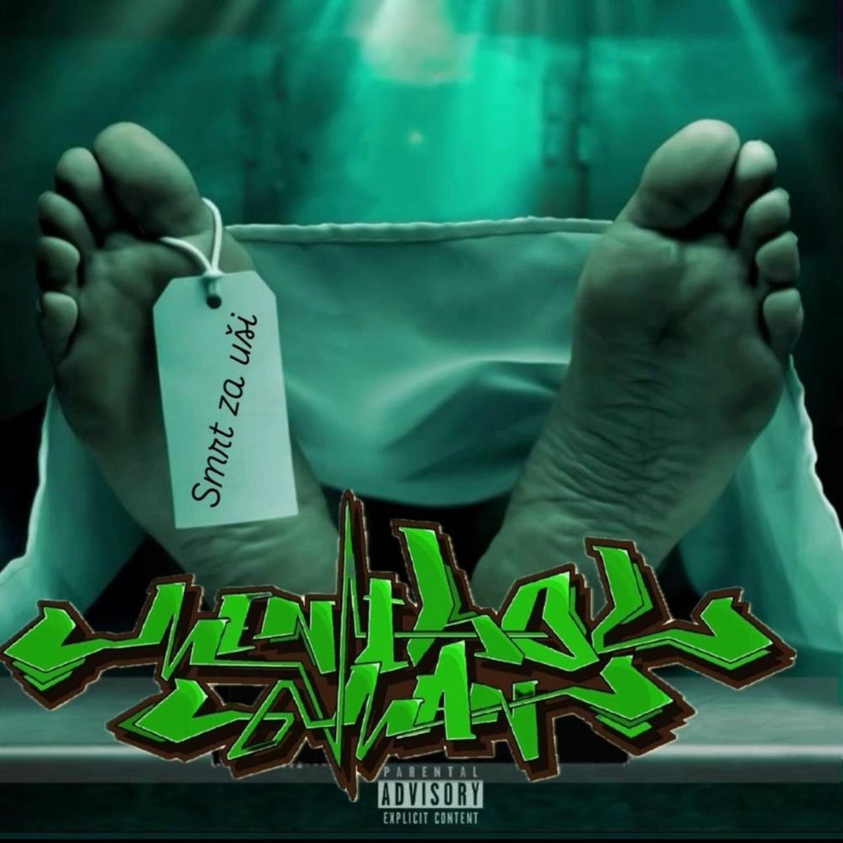 Album cover of Smrt za uši