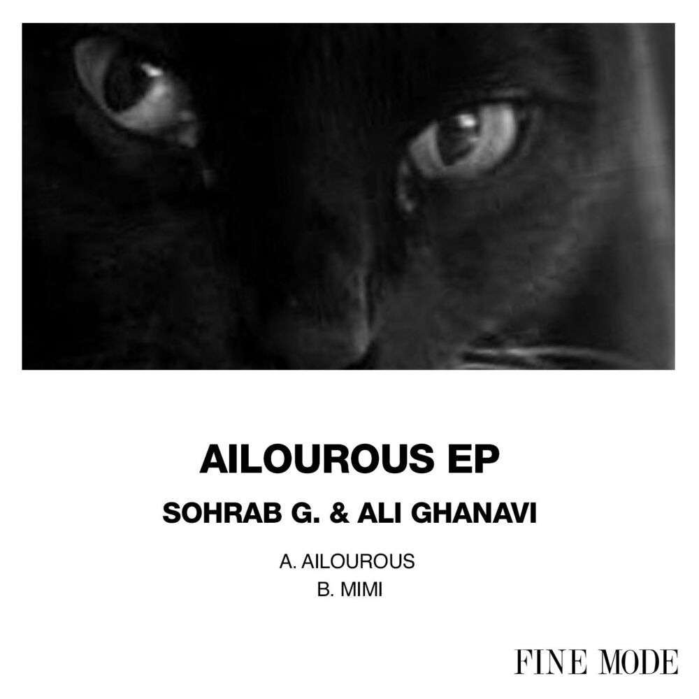 Picture of Ailourous EP