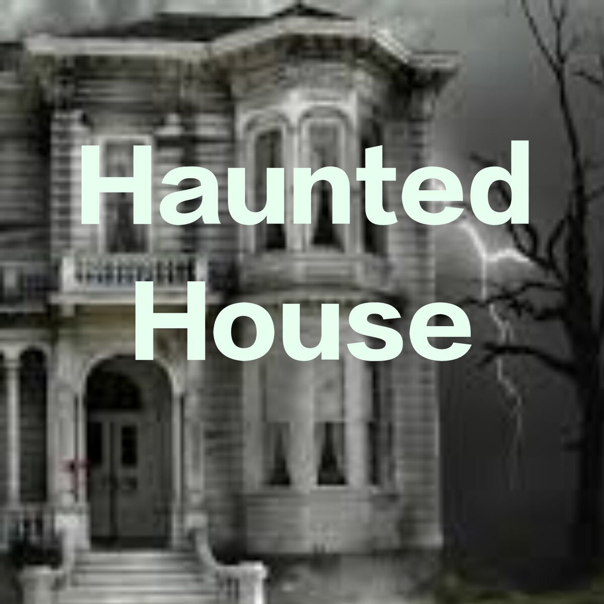 Album cover of Haunted House