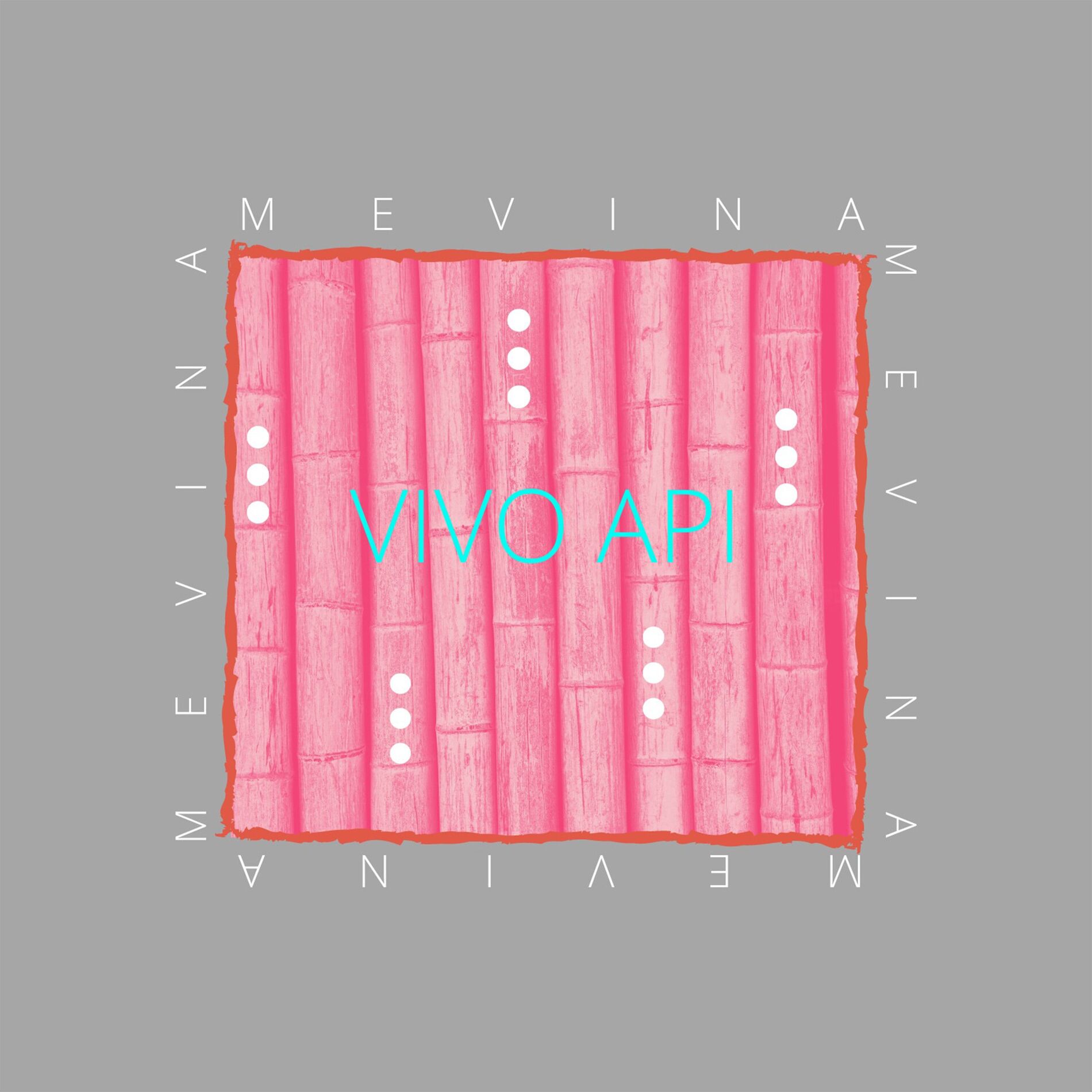 Album cover of Vivo Api