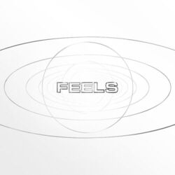 Cover of Feels