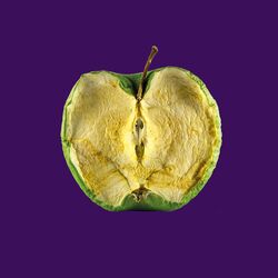 Cover of Waste