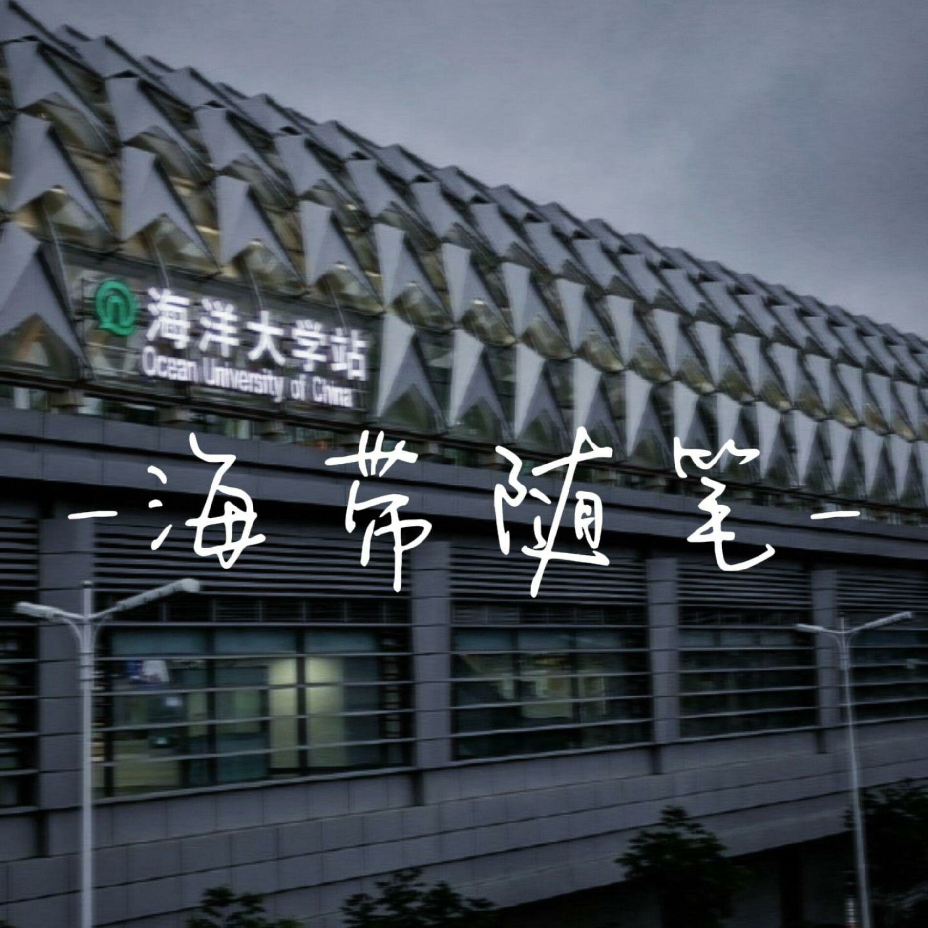 Album cover of 海带随笔